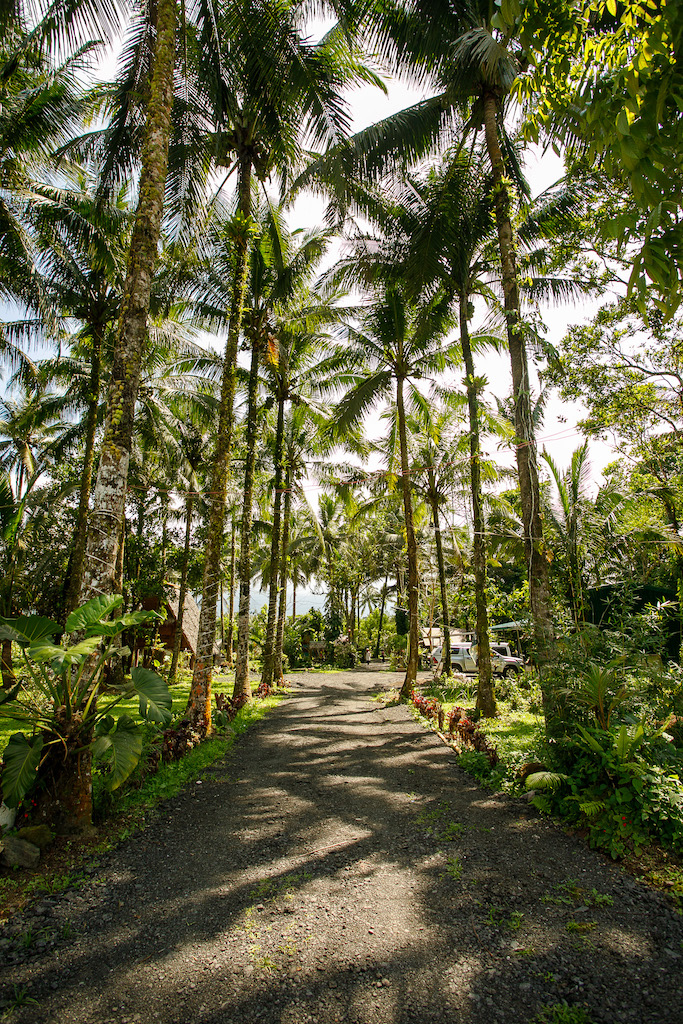 Quezon and Laguna’s culinary heritage revisited | Lifestyle.INQ