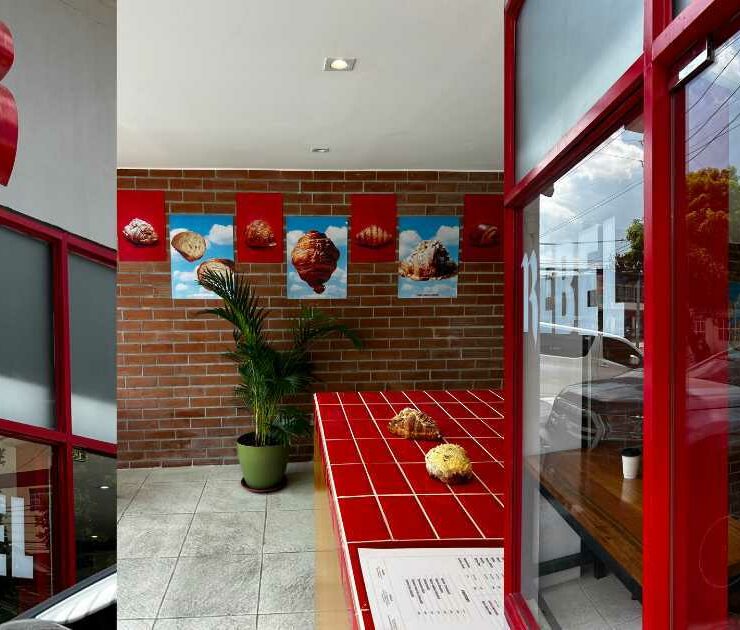 rebel bakehouse and coffee shop maginhawa quezon city